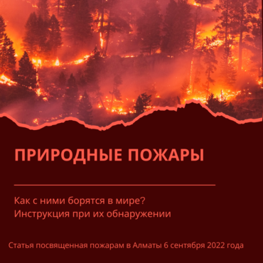 ПРИРОДНЫЕ ПОЖАРЫ