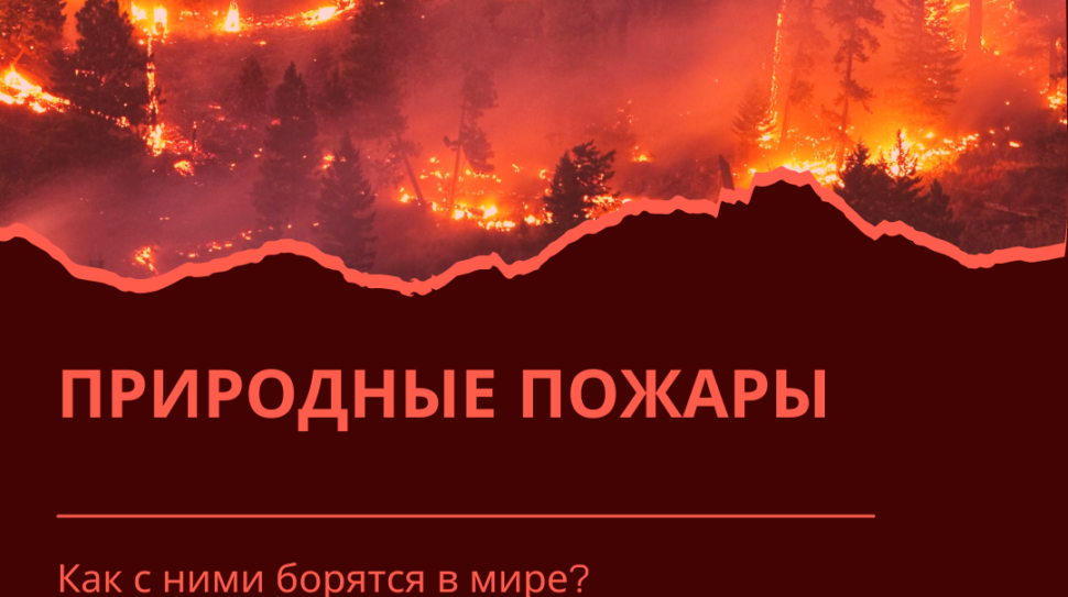 ПРИРОДНЫЕ ПОЖАРЫ